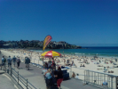 IMG 20141108 120939